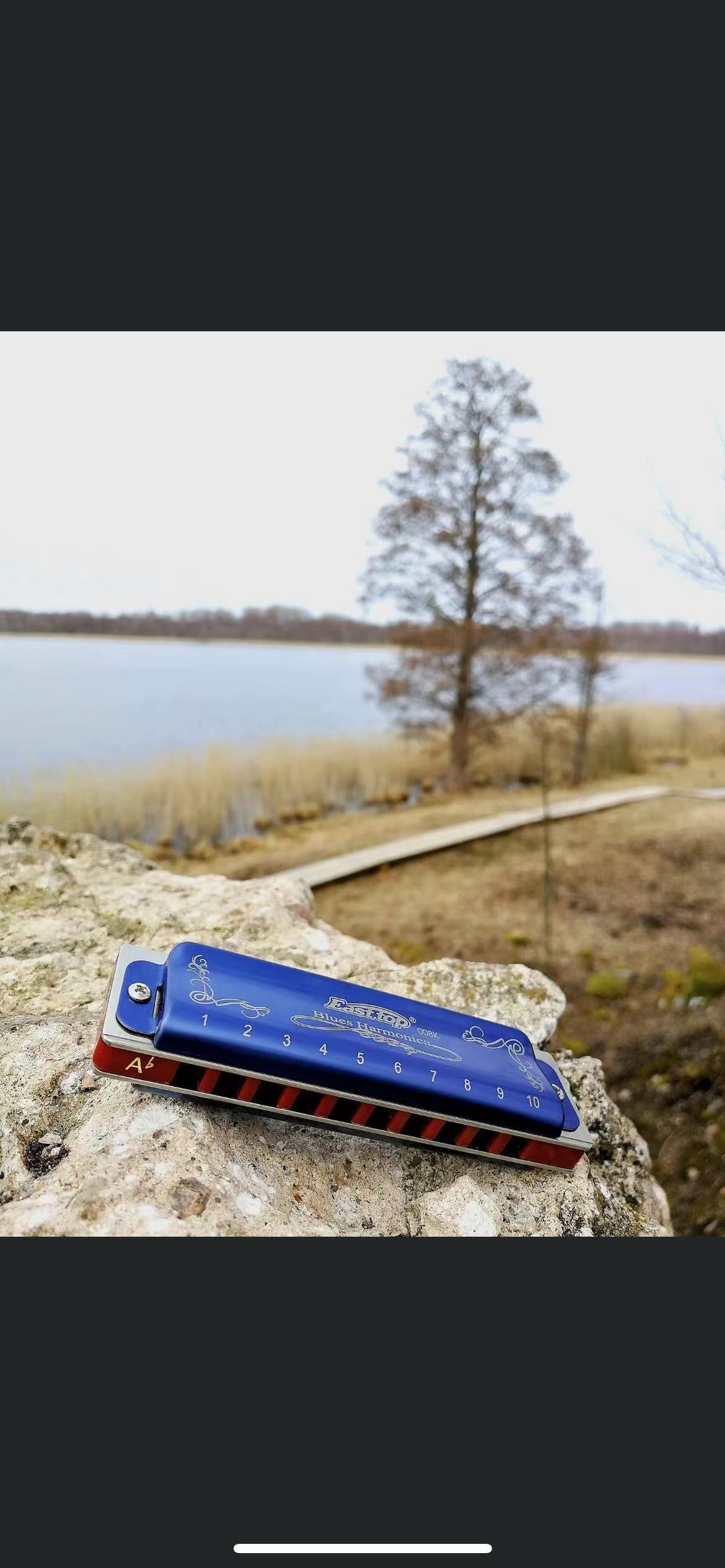 ฮาร์โมนิก้า EASTTOP T008K สีน้ - Harmonica 10 Hole บทวิจารณ์และราคา