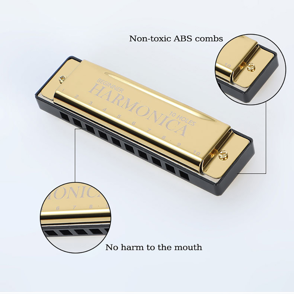 ฮาร์โมนิก้า 10 รู คีย์ C บลูส์ - Harmonica 10 Hole บทวิจารณ์และราคา