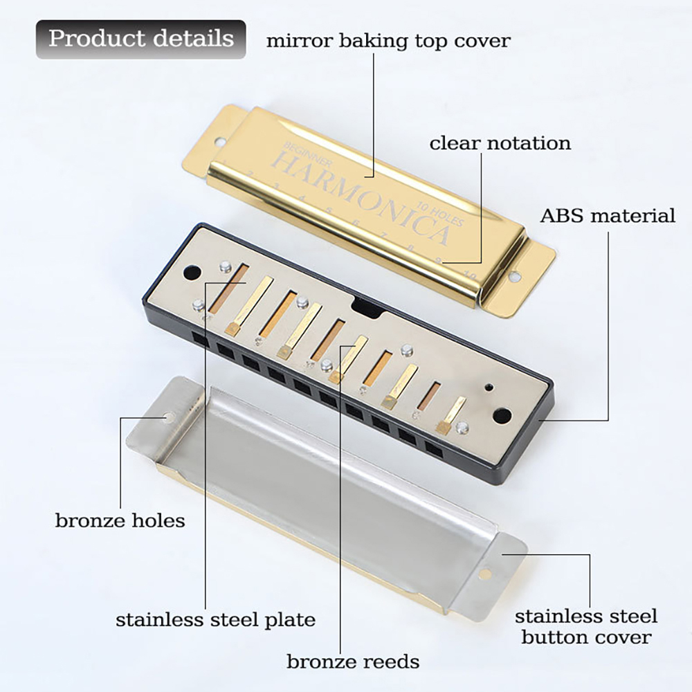 ฮาร์โมนิก้า 10 รู คีย์ C บลูส์ - Harmonica 10 Hole บทวิจารณ์และราคา