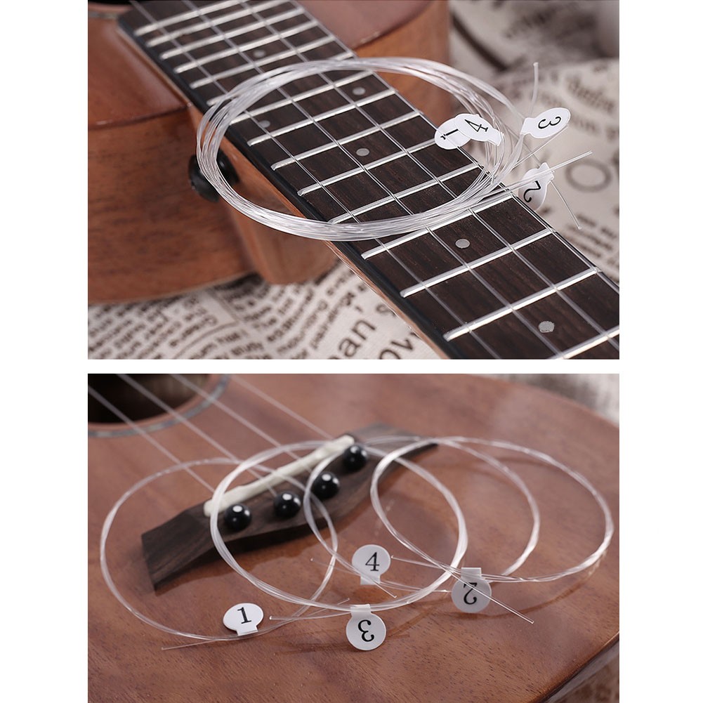 สายคาร์บอนอูคูเลเล่สำหรับอูคูเ - Ukulele Beginner Kit บทวิจารณ์และราคา