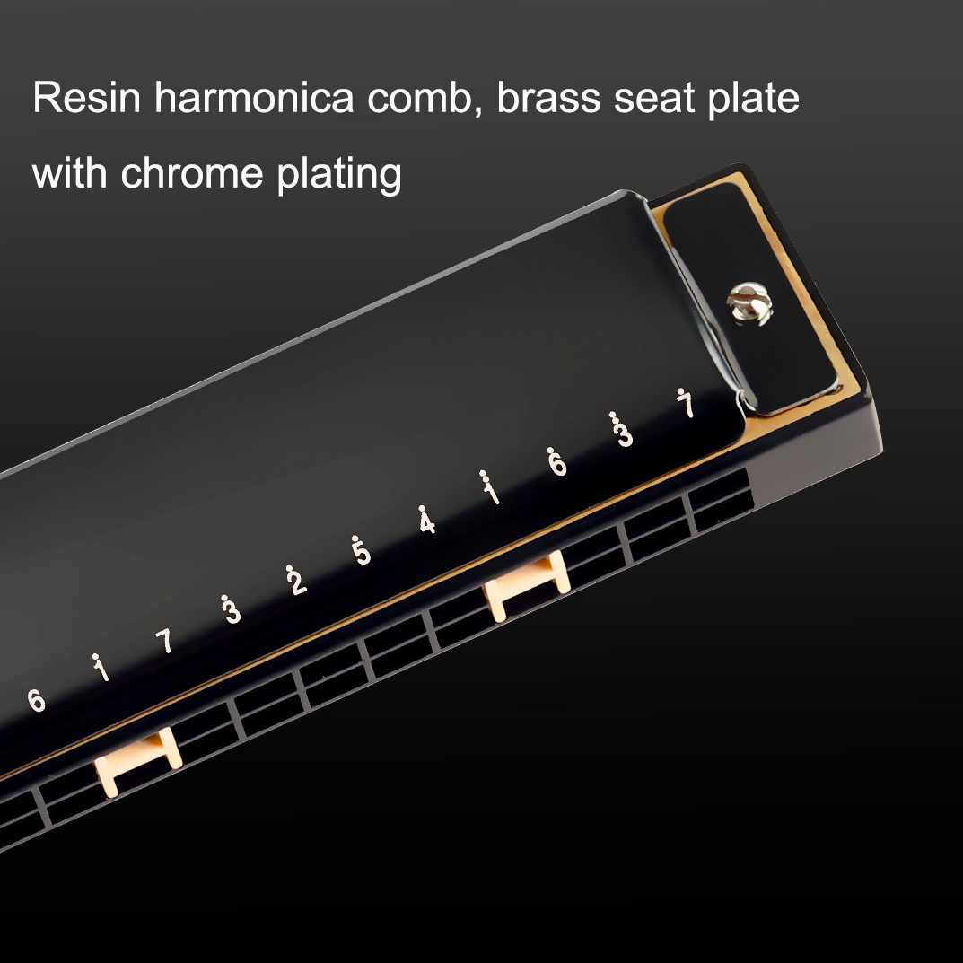 Guoguang Tremolo Harmonica 24  - Harmonica 10 Hole บทวิจารณ์และราคา