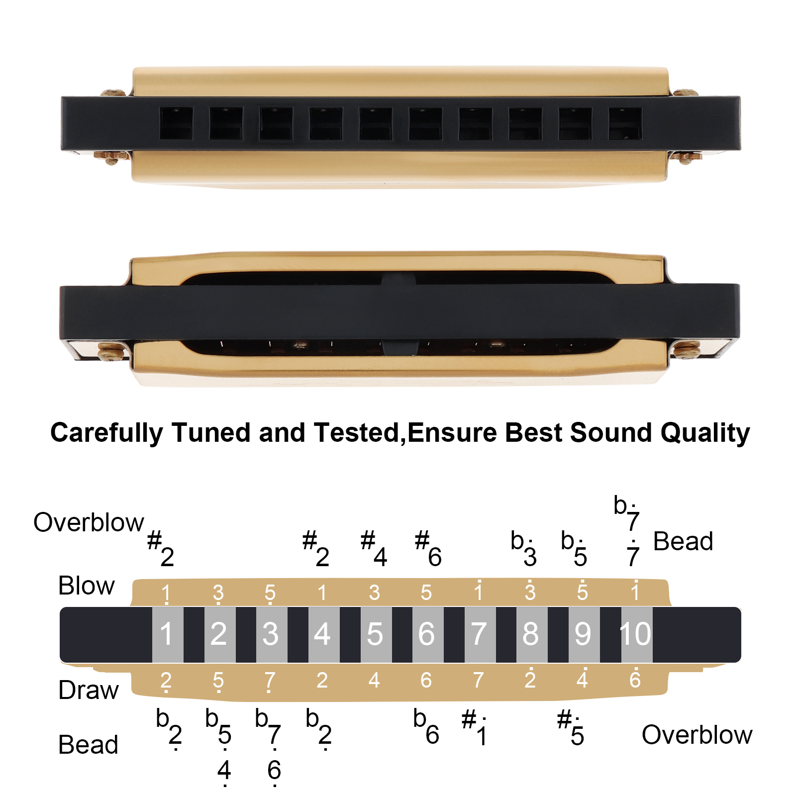 เงิน/ทอง KeyC 10 หลุม 20 Tone  - Harmonica 10 Hole บทวิจารณ์และราคา